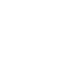 Vehicle Safety icon truck with shield and tick