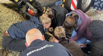 Group of people learning how to give first aid to someone injured 